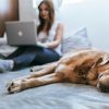 帯状疱疹とは？原因・症状・予防法・注意点・感染リスクまで詳しく解説！
